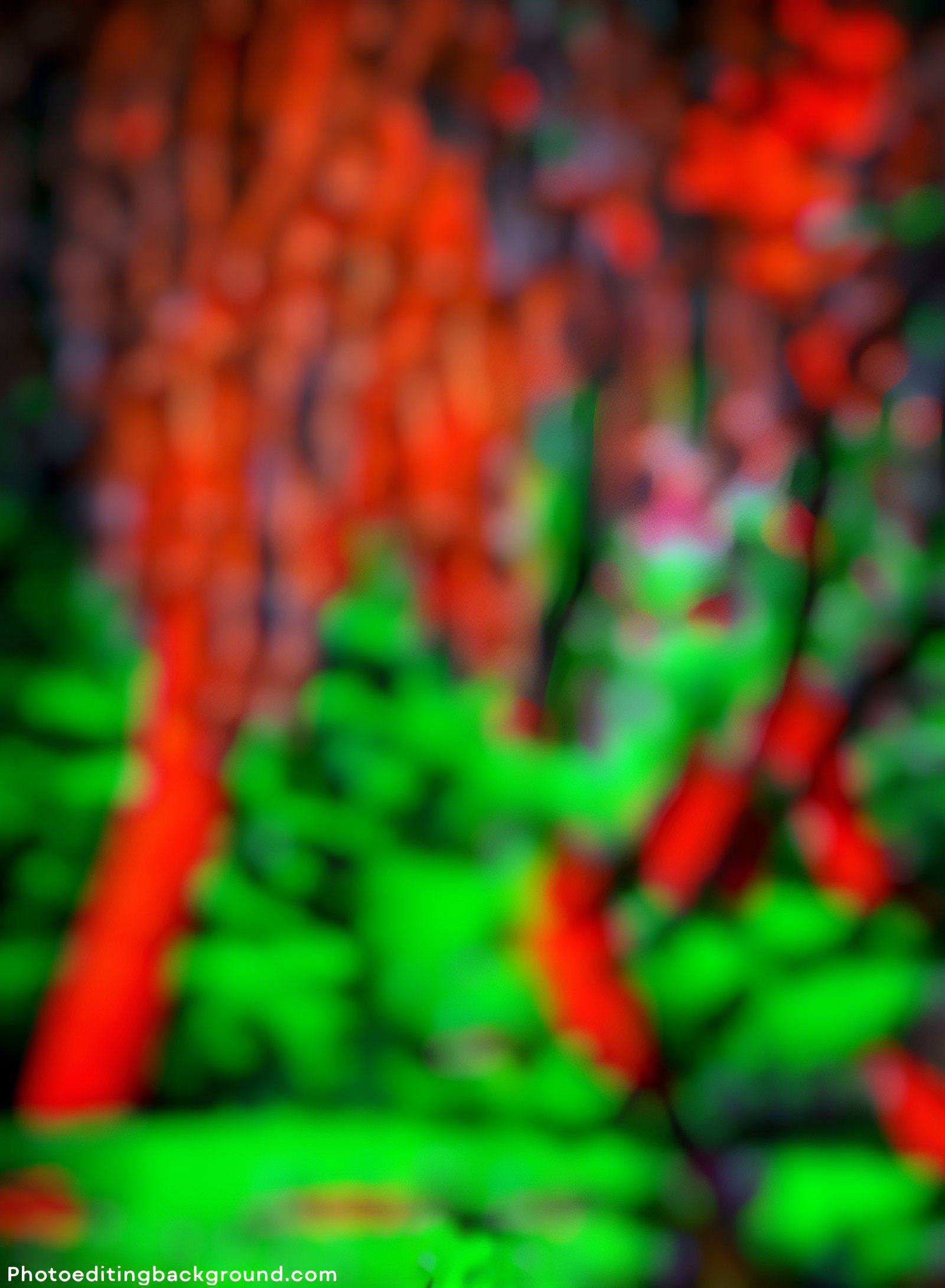 Download Snapseed background 4k: For Better Photo Edits 10 Snapseed Background Photo Editing