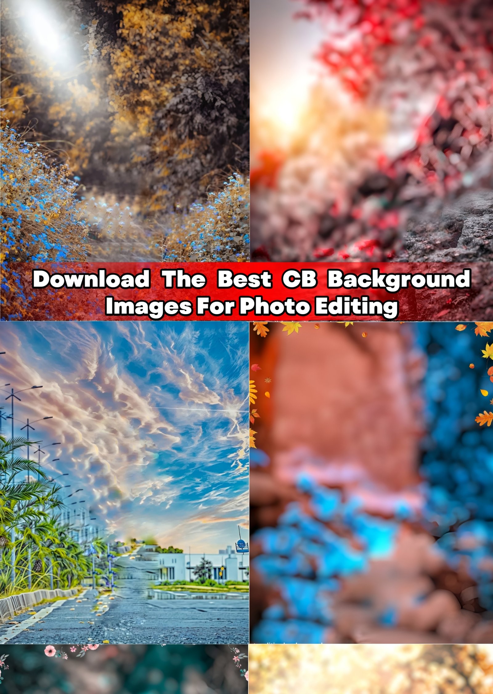 Download The Best CB Background Images For Photo Editing