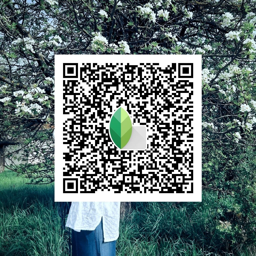 Dark Nature Snapseed QR Code Photo Editing