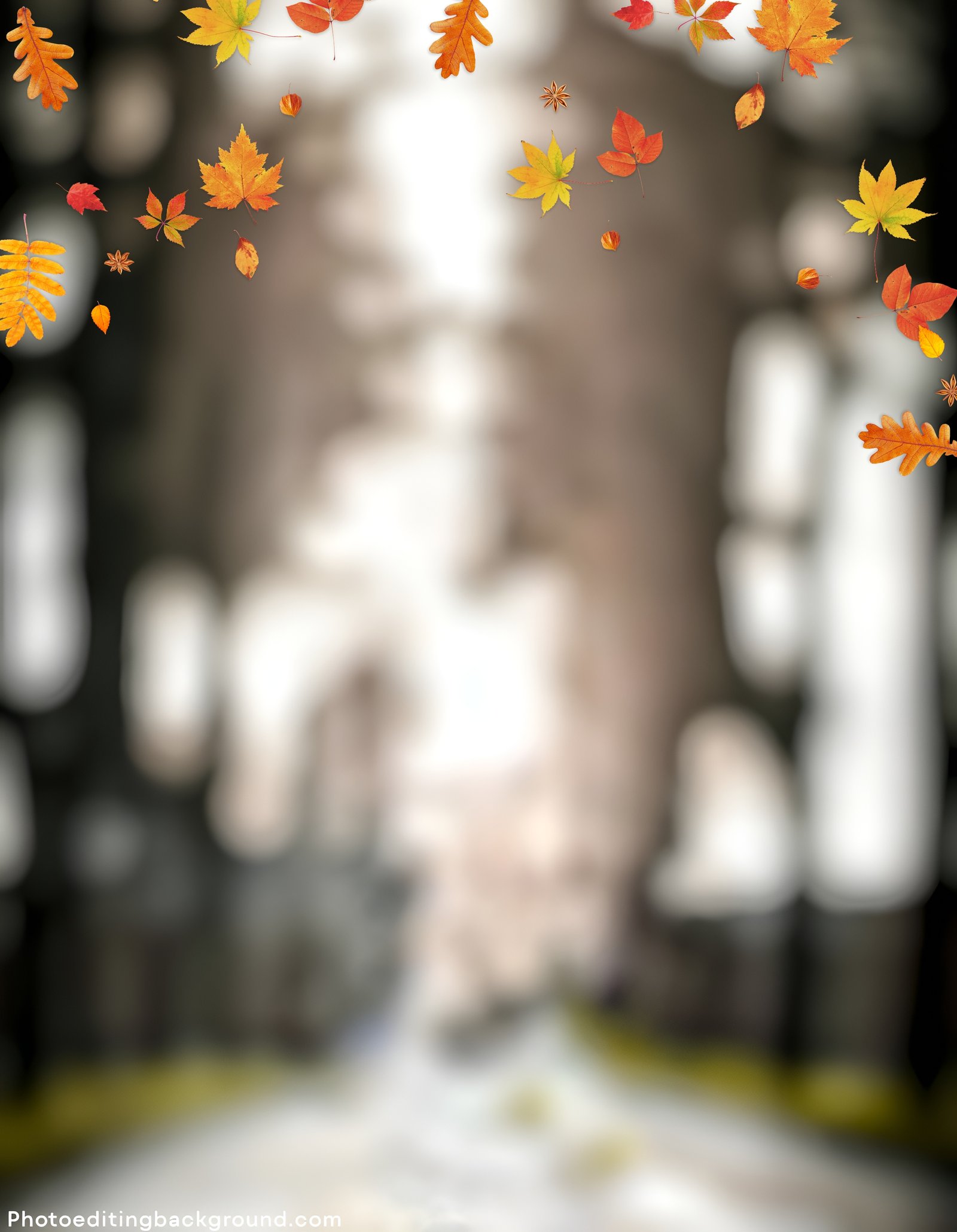 Download Snapseed background 4k: For Better Photo Edits 7 Blur Autumn CB Background For Snapseed Editing