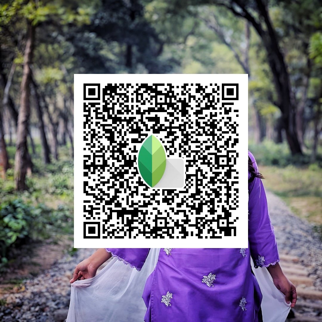 Top 150+ Snapseed QR Codes: For Amazing Editing Photos 2 Snapseed QR Code Preset