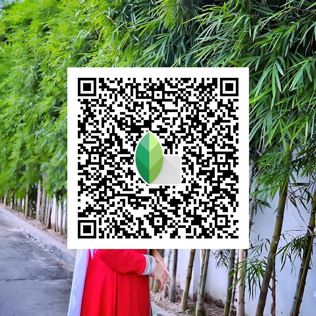 Top 150+ Snapseed QR Codes: For Amazing Editing Photos 5 HD 4k Snapseed QR Code Latest